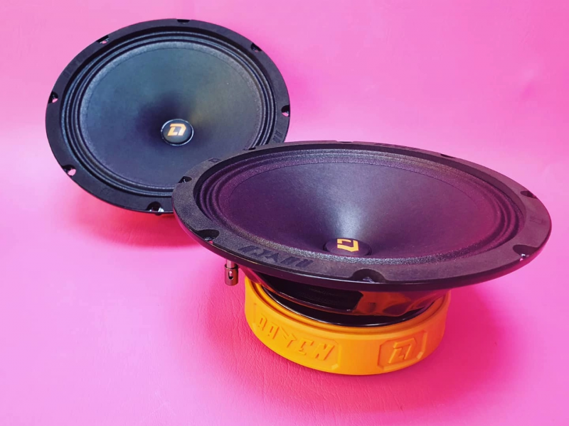 DL Audio Raven 200 (Удалённый склад)