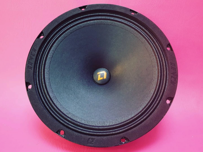 DL Audio Raven 200 (Удалённый склад)