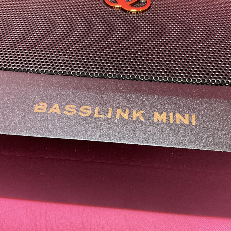 Infinity BassLink Mini