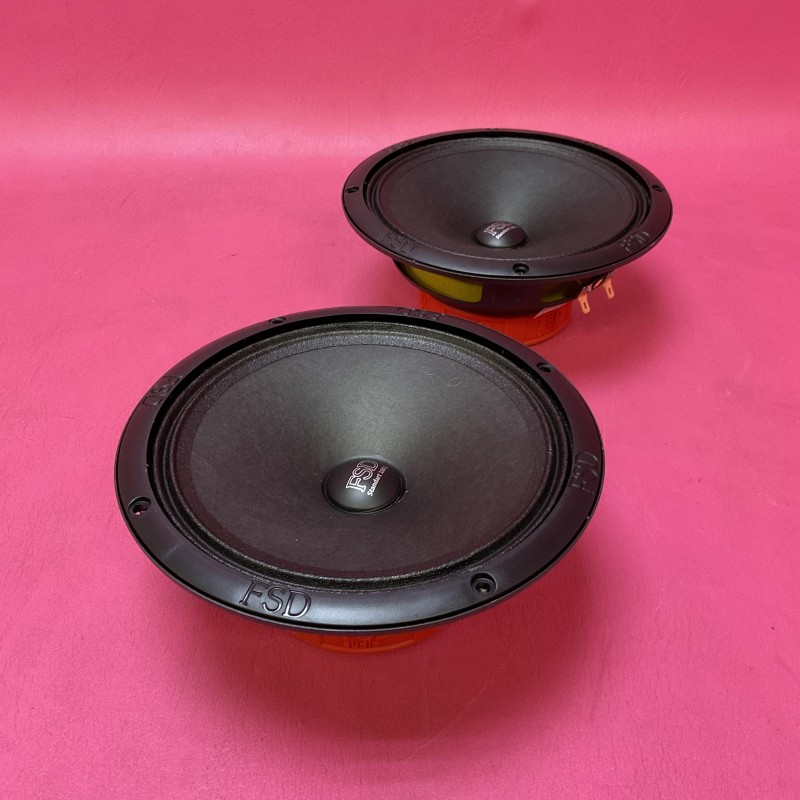 FSD Audio Standart 160L